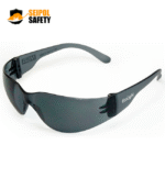 LENTE ECOLIGHT MSA - Imagen 2